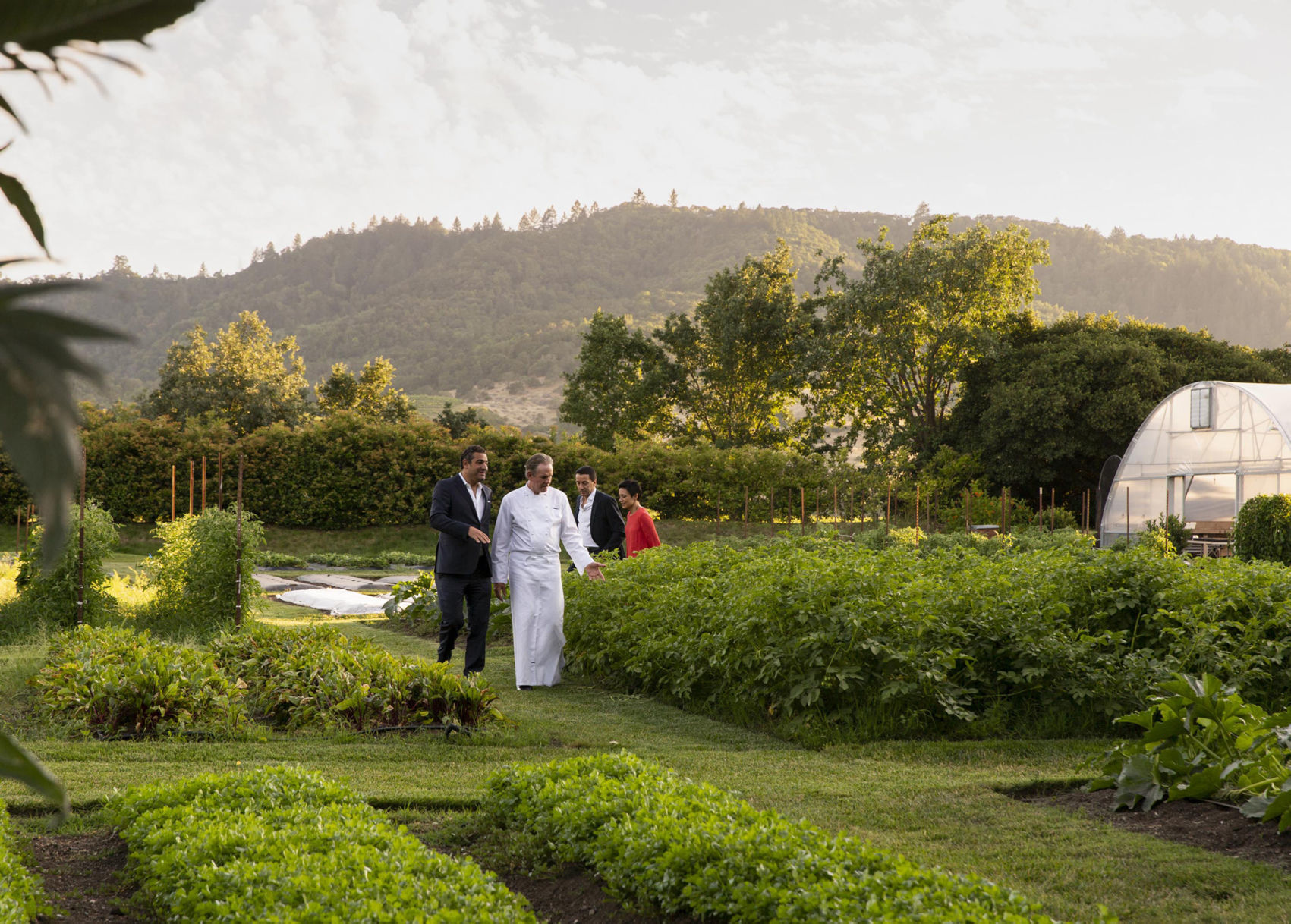 How a world-class chef blossomed in Napa Valley: The French Laundry turns 25